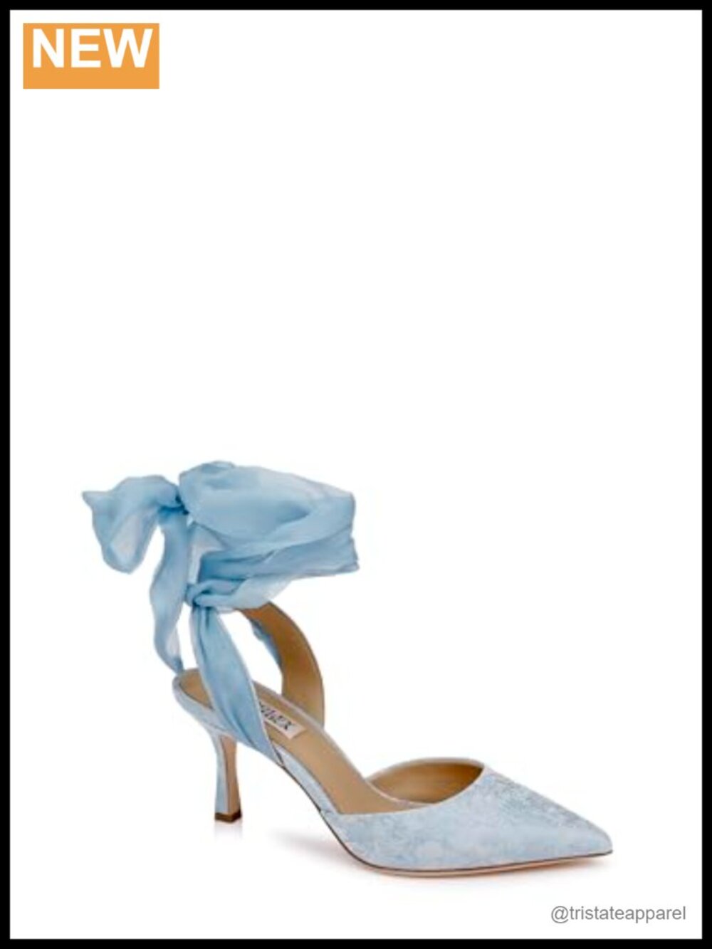 Badgley Mischka Blaze II Silk Pointed Toe Stiletto Pump Formal Heel